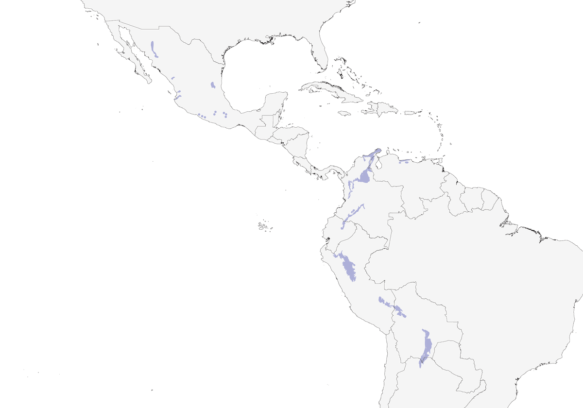 Military Macaw, Distribution 1