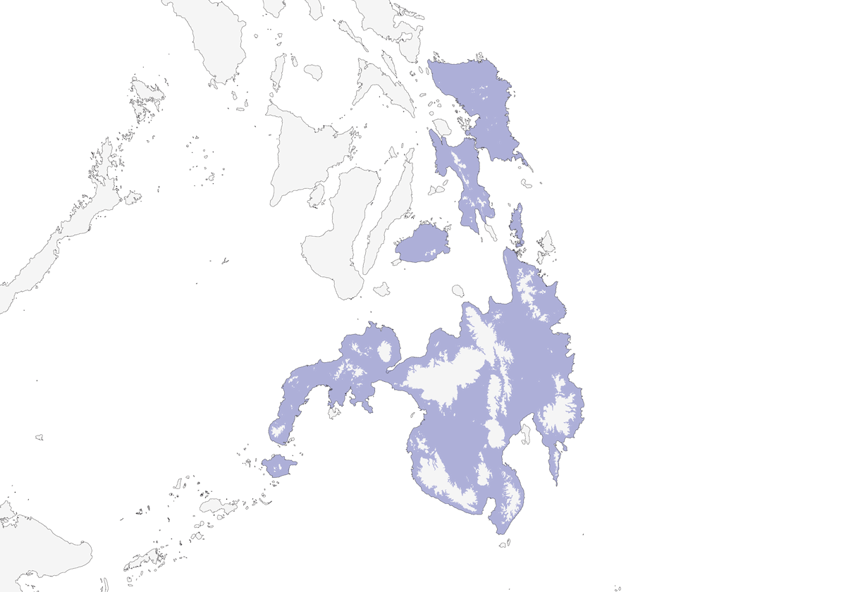 Gallicolombe de Mindanao, Distribution 1