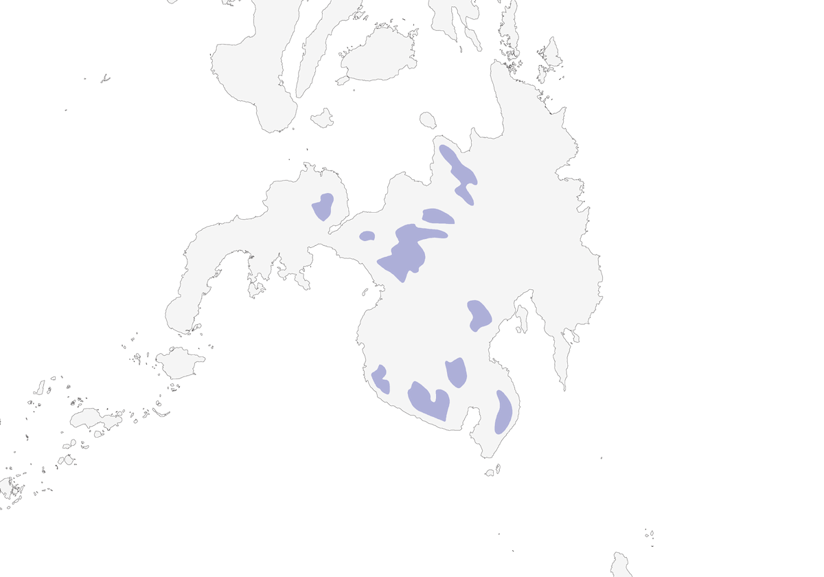 Mindanao Lorikeet, Distribution 1