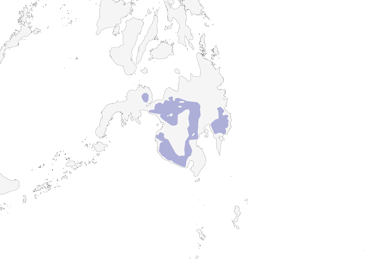 Luì pennuto di Mindanao, Distribuzione 1