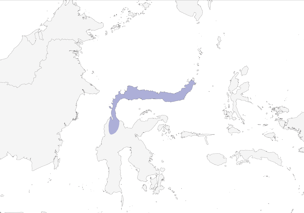 Minahasa-Schleiereule, Verbreitung 1