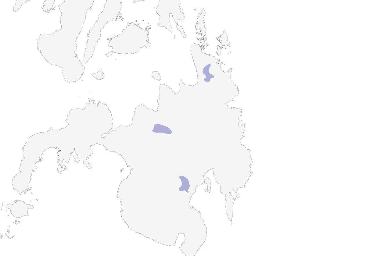Assiolo di Mindanao, Distribuzione 1
