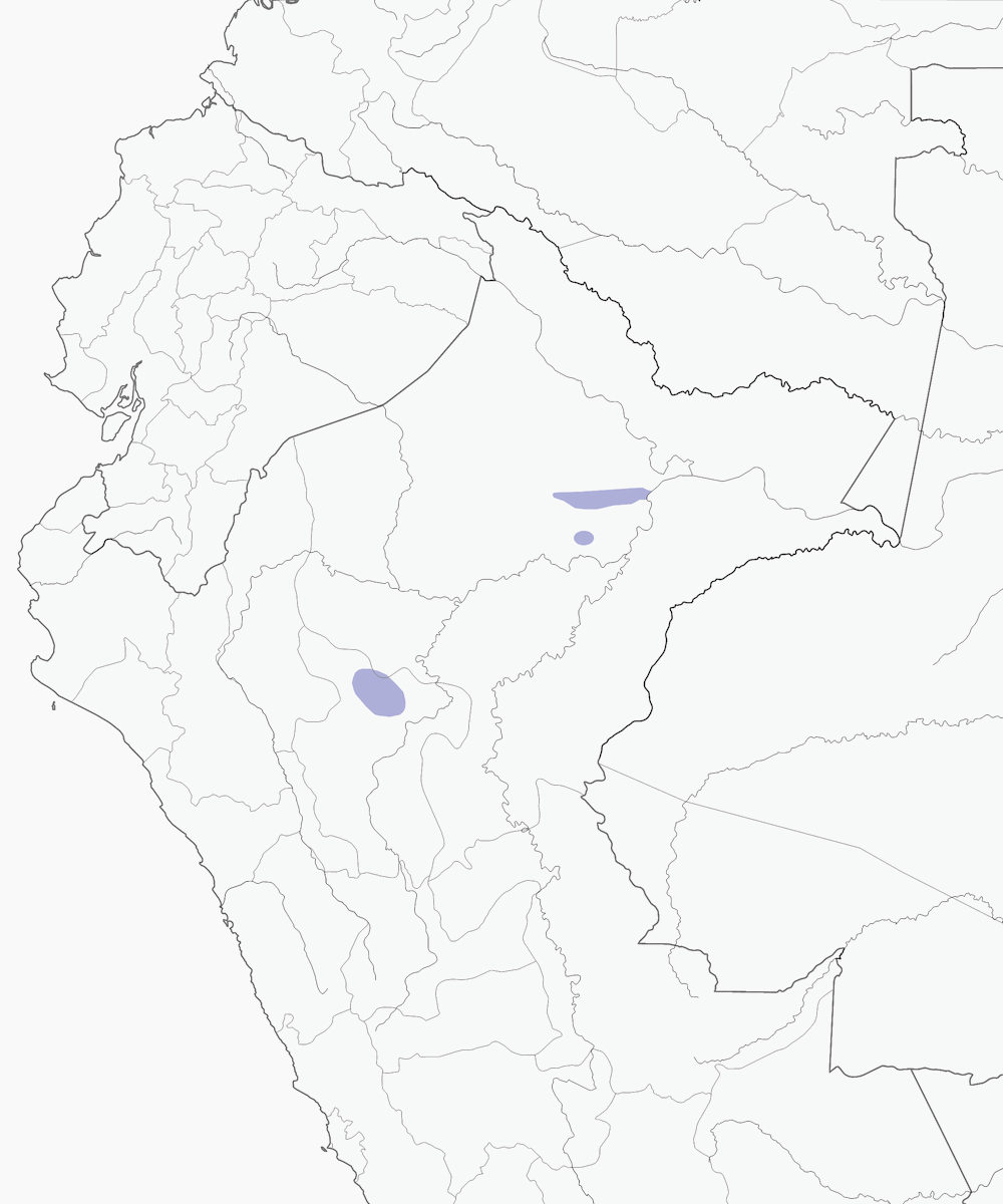 Mishana Tyrannulet, Distribution 1