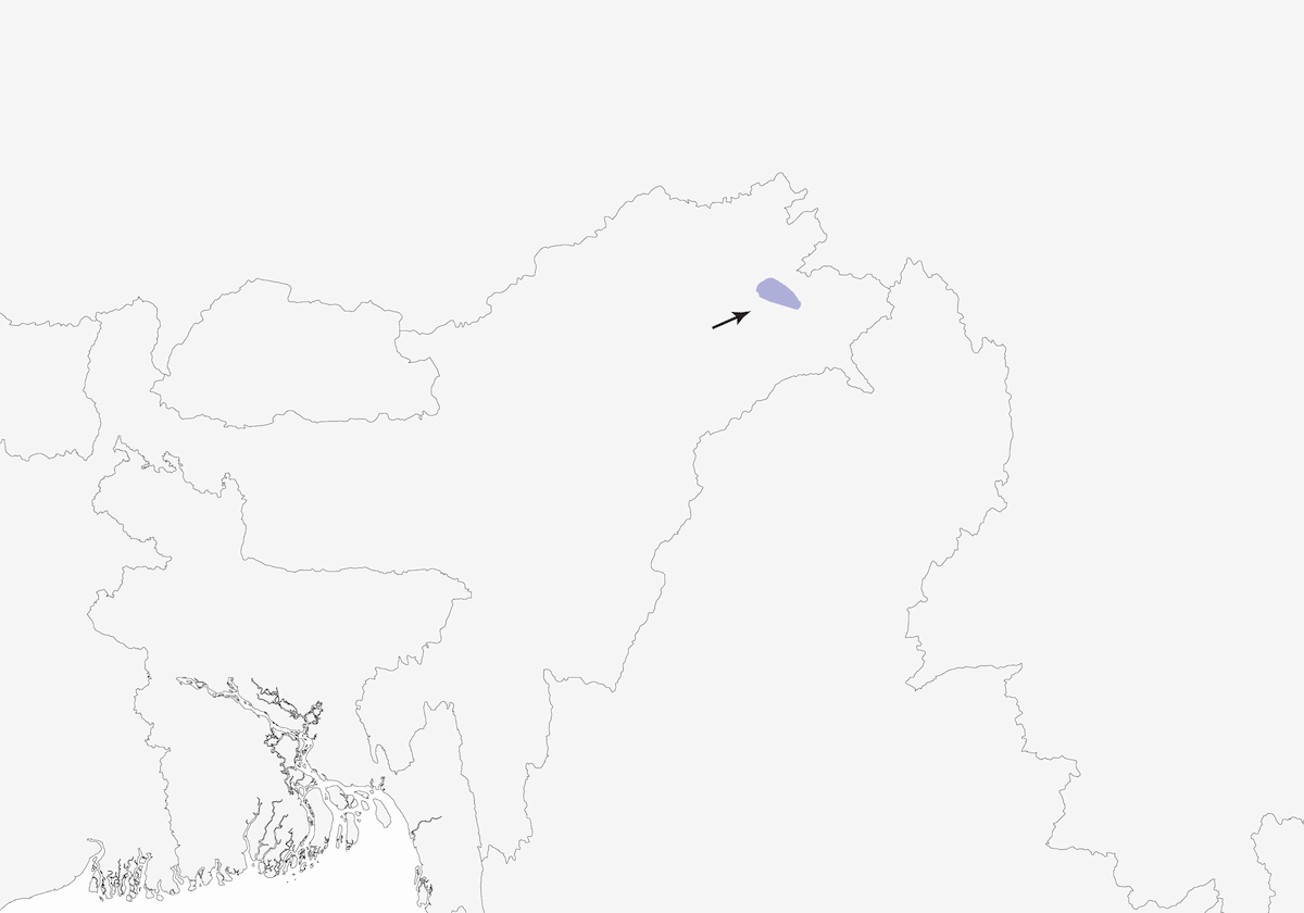 Mishmi-Höhlendrossling, Verbreitung 1