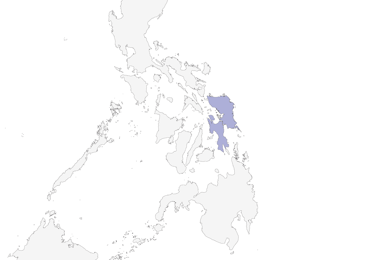 Mosquitero de Leyte, Distribución 1