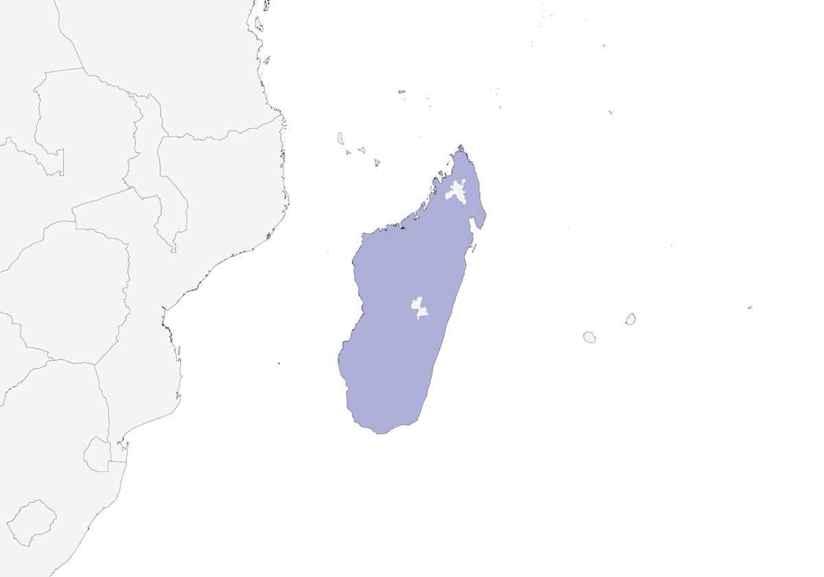 Gufo del Madagascar, Distribuzione 1