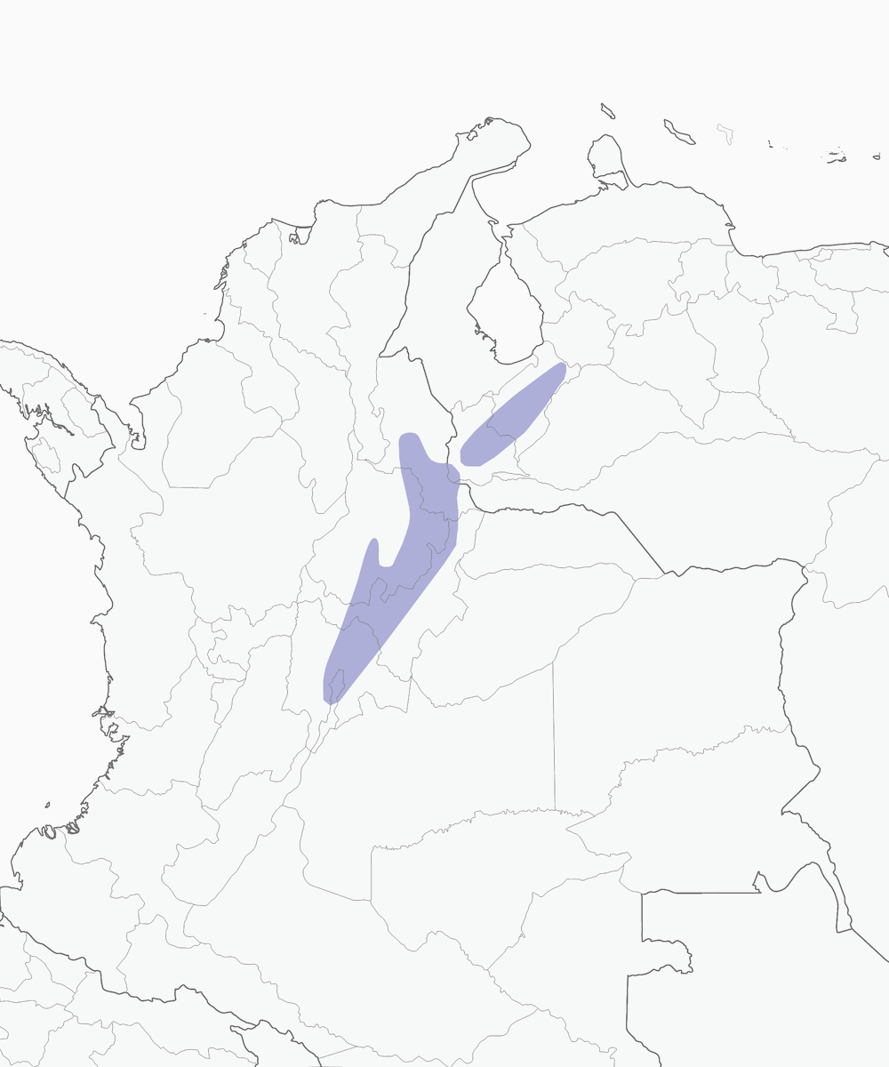 Fringuello della boscaglia baffuto, Distribuzione 1
