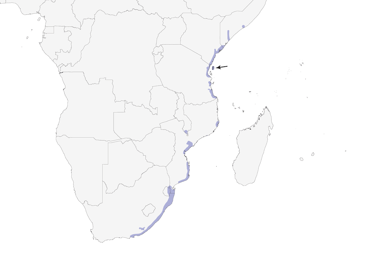 Mouse-colored Sunbird, Distribution 1