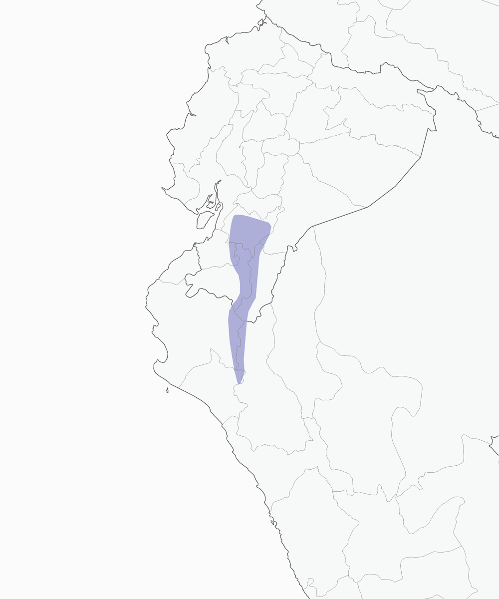 Codispina grigio-murino, Distribuzione 1