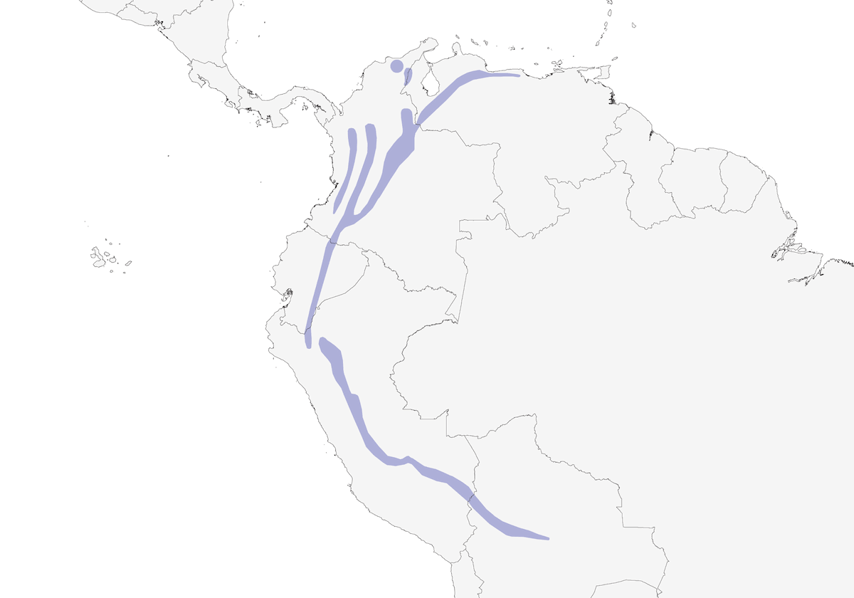 Hojarasquero Montano, Distribución 1