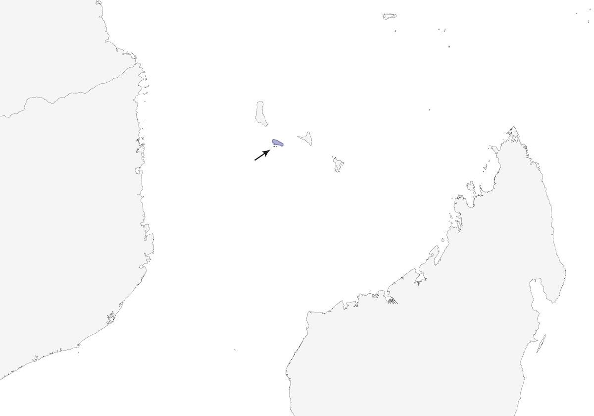 Moheli Bulbul, Distribution 1