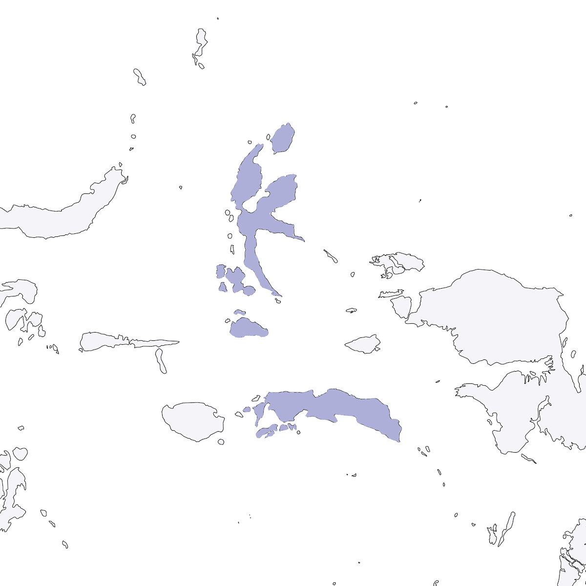 Moluccan Spectacled Monarch, Distribution 1