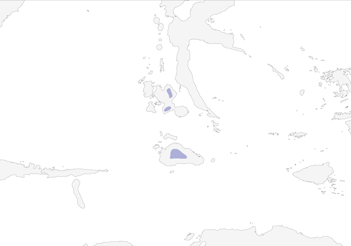 Beccaccia delle Molucche, Distribuzione 1
