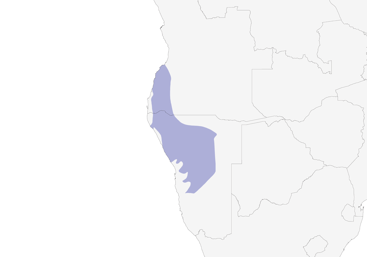 Monteiro-Toko, Verbreitung 1