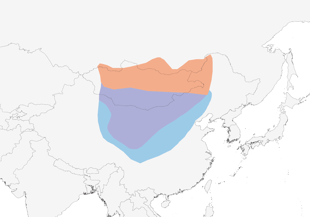 Mongolian Lark, 分布 1