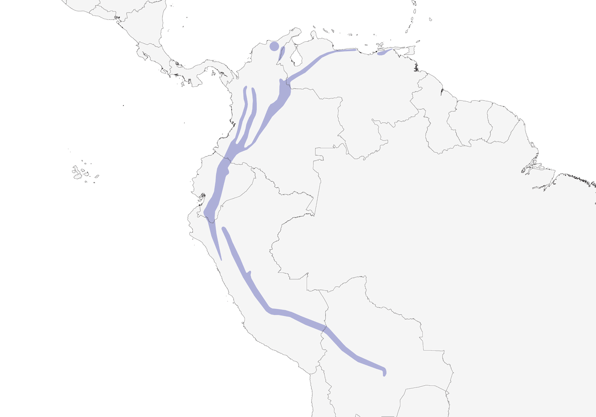 Montane Woodcreeper, Distribution 1