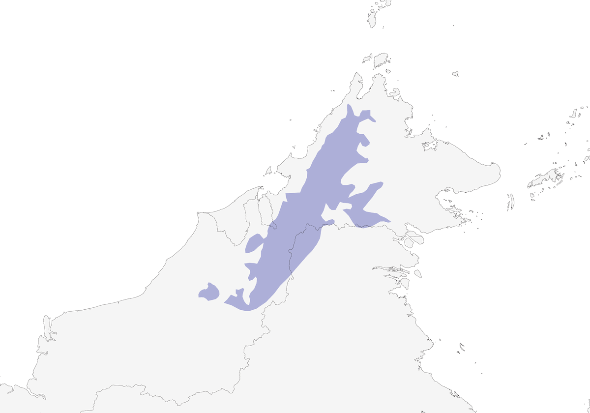 Aquila serpentaria di montagna, Distribuzione 1