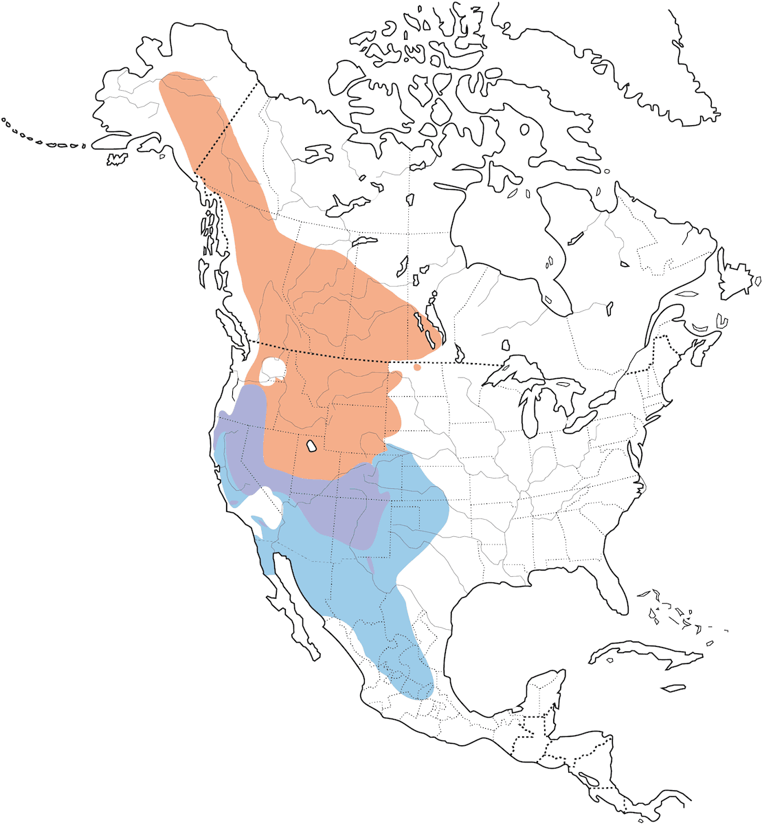 Sialia montana, Distribuzione 1