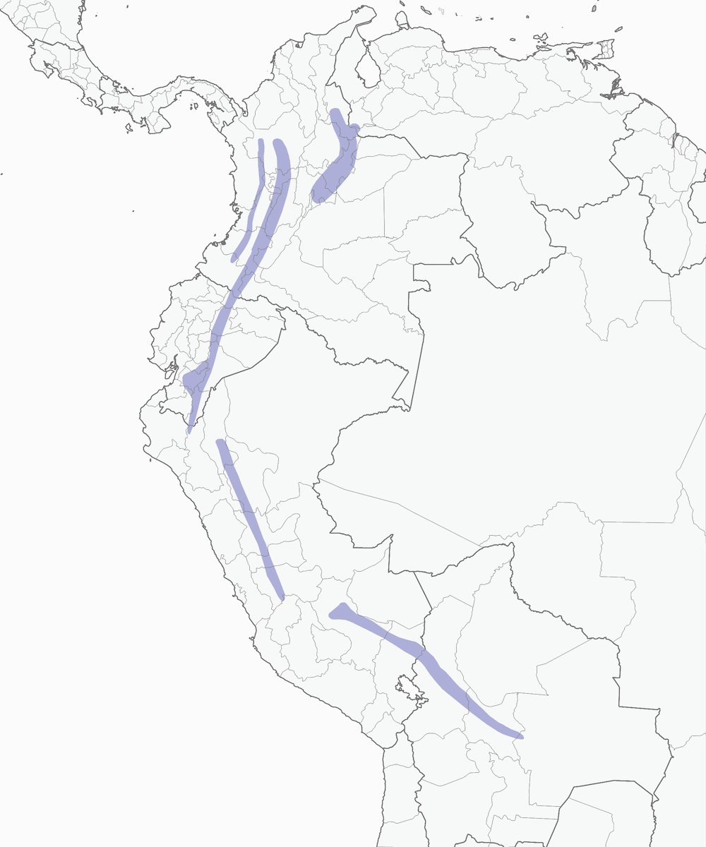 Mountain Cacique, Distribution 1