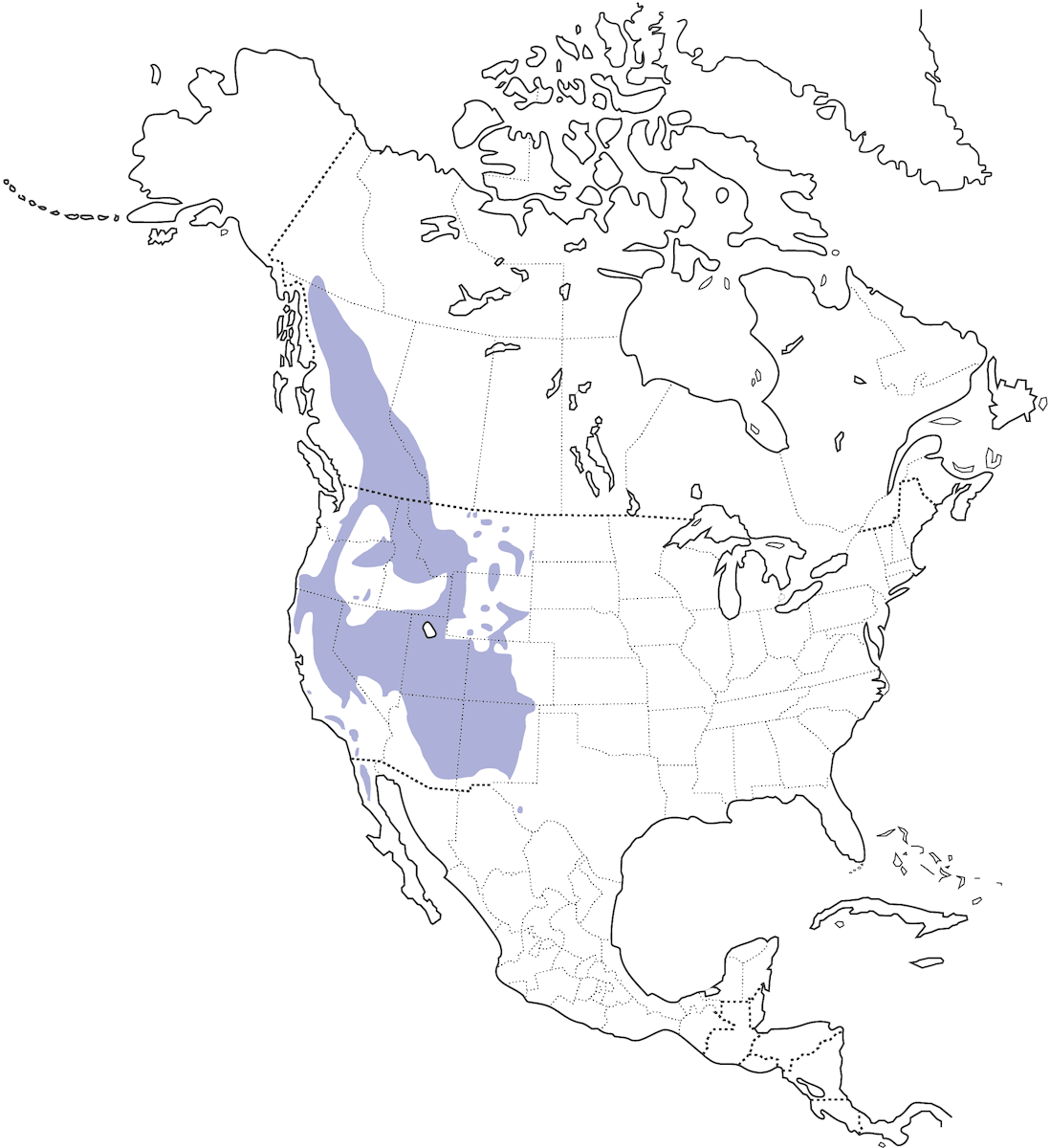 Carbonero Gambel, Distribución 1