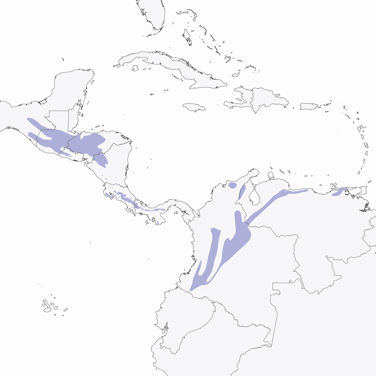 Élénie de Frantzius, Distribution 1