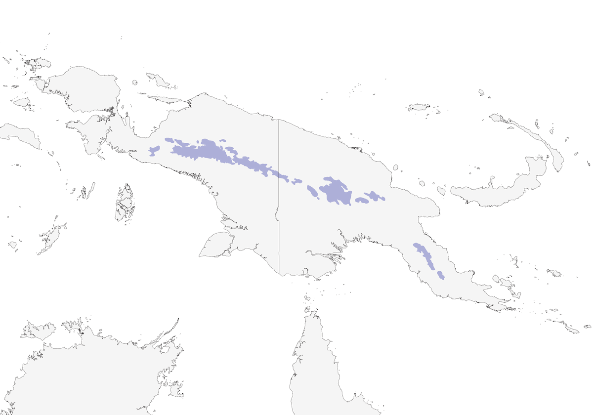 Mountain Firetail, Distribution 1