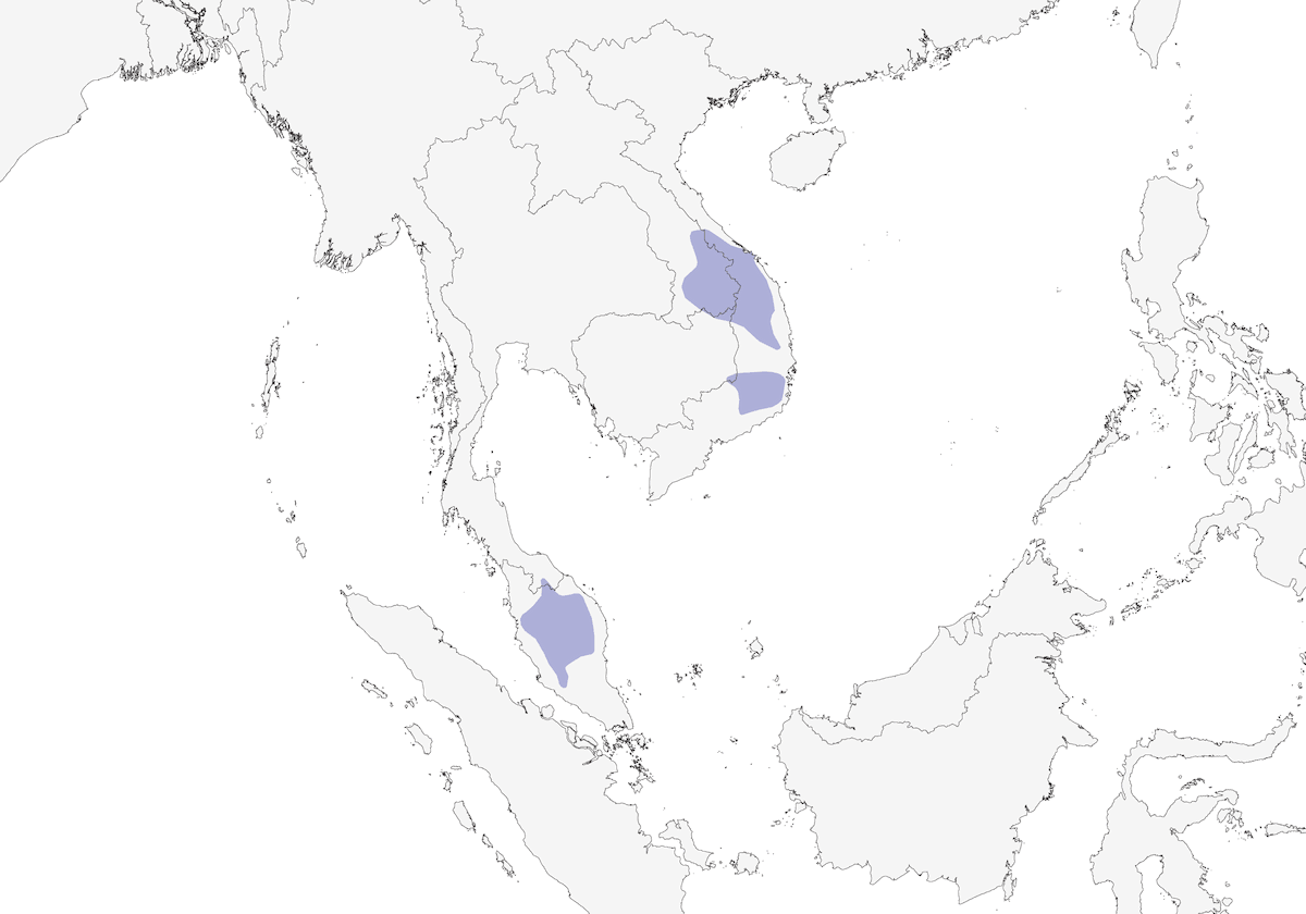 Fulvetta di montagna, Distribuzione 1