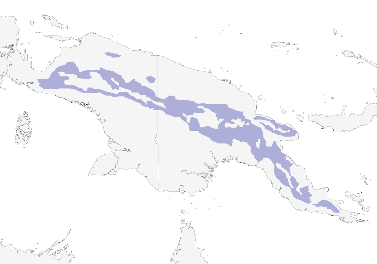 Mountain Kingfisher, Distribution 1