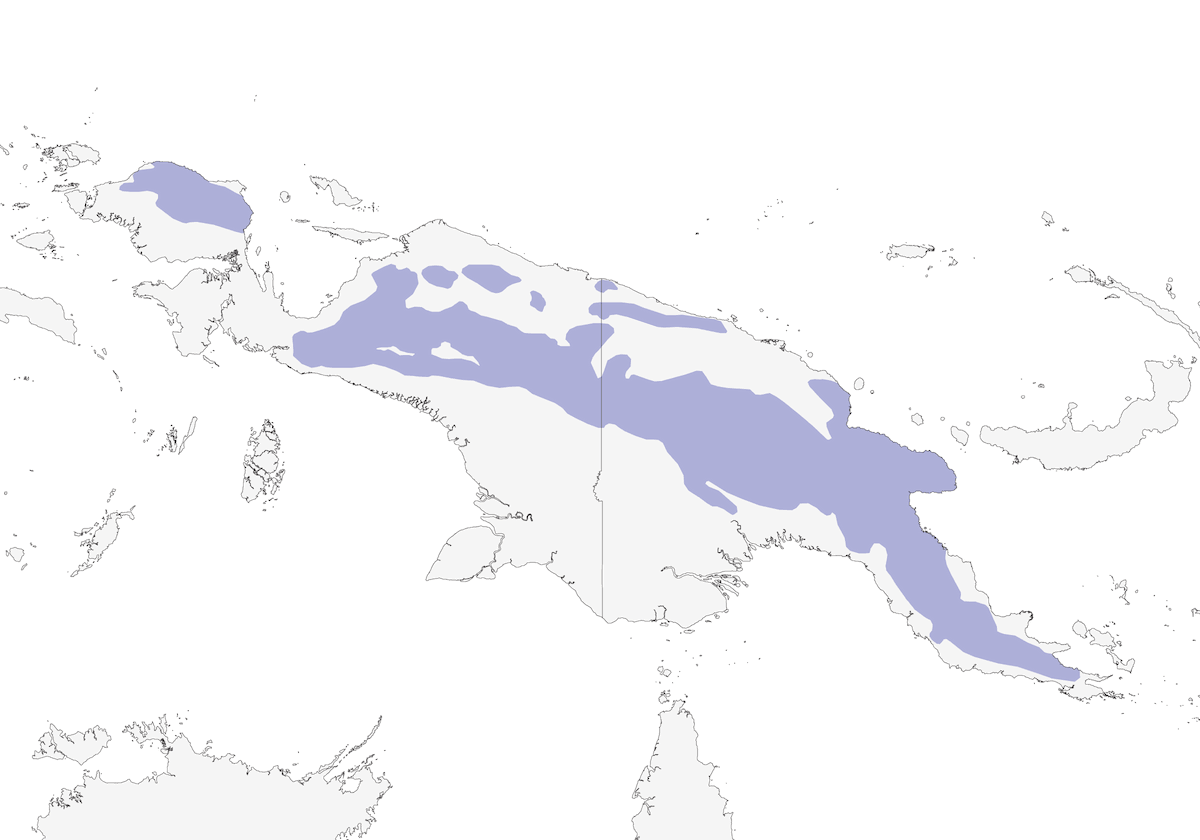 Peltopse montagnard, Distribution 1