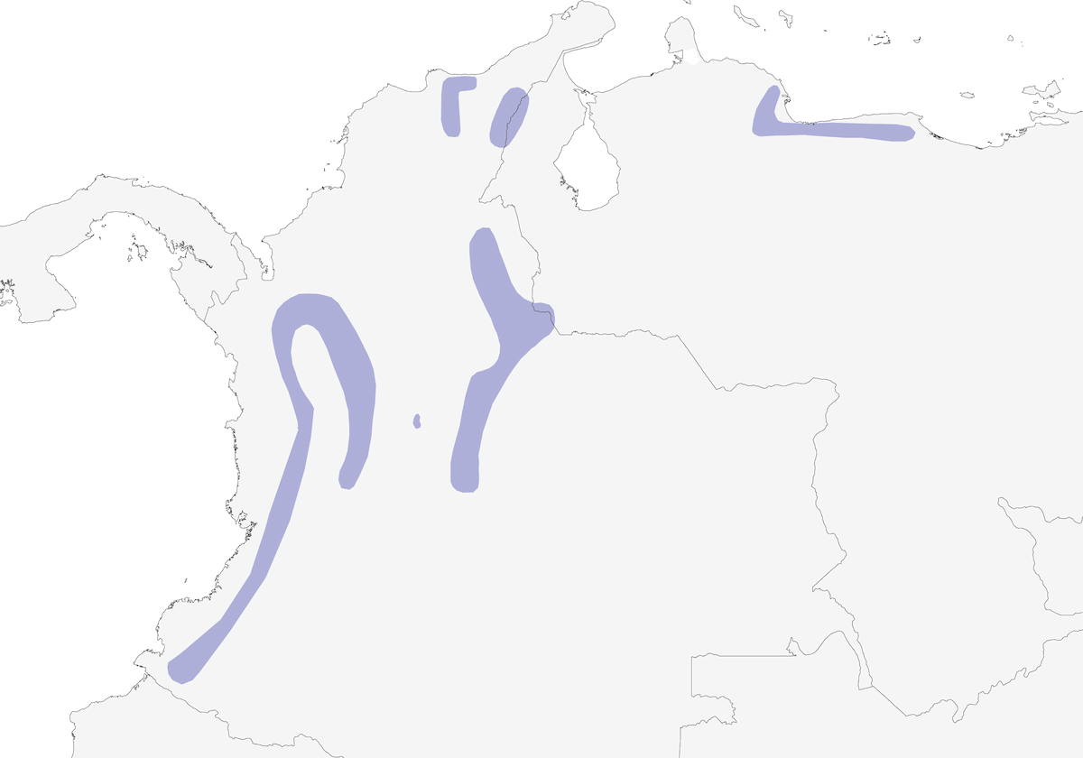 Moustached Puffbird, Distribution 1