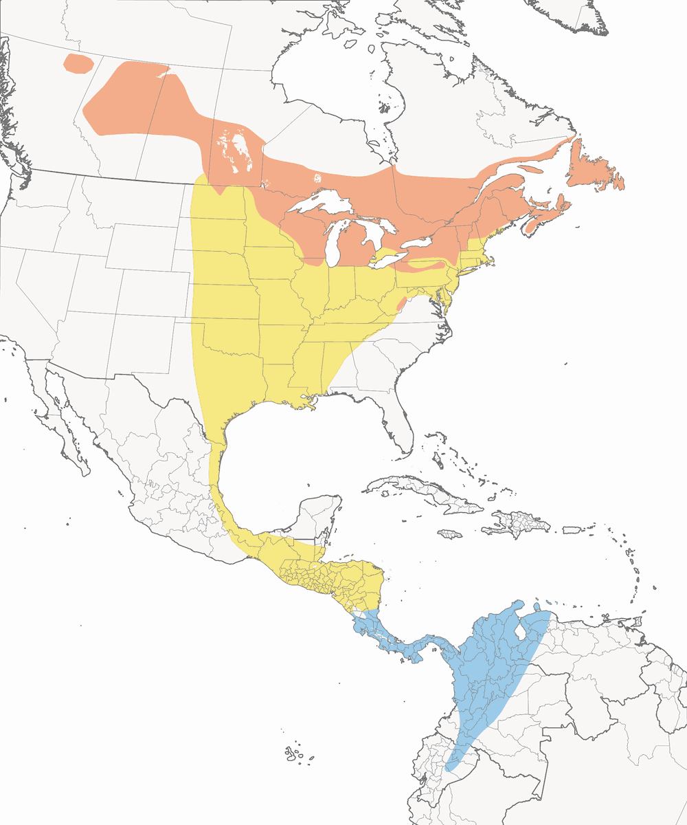 Parula luttuosa, Distribuzione 1
