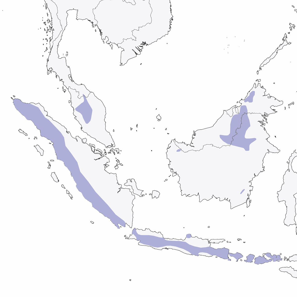 Mountain Leaf Warbler, Distribution 1
