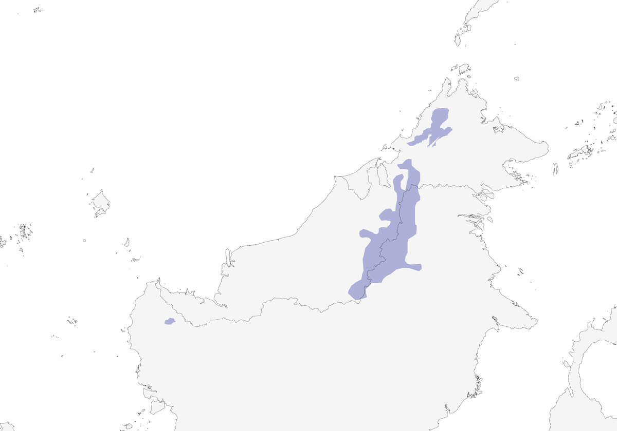 Mountain Wren-Babbler, Distribution 1