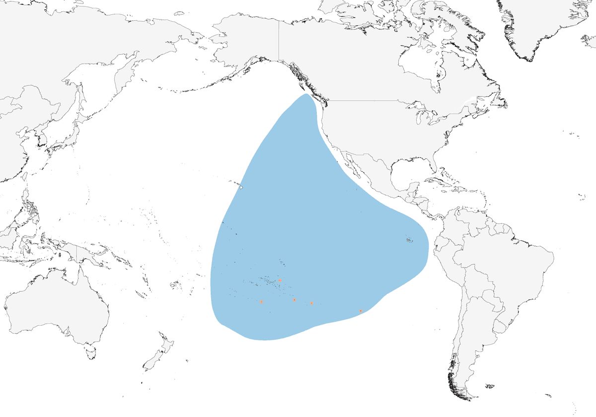 Murphy's Petrel, Distribution 1