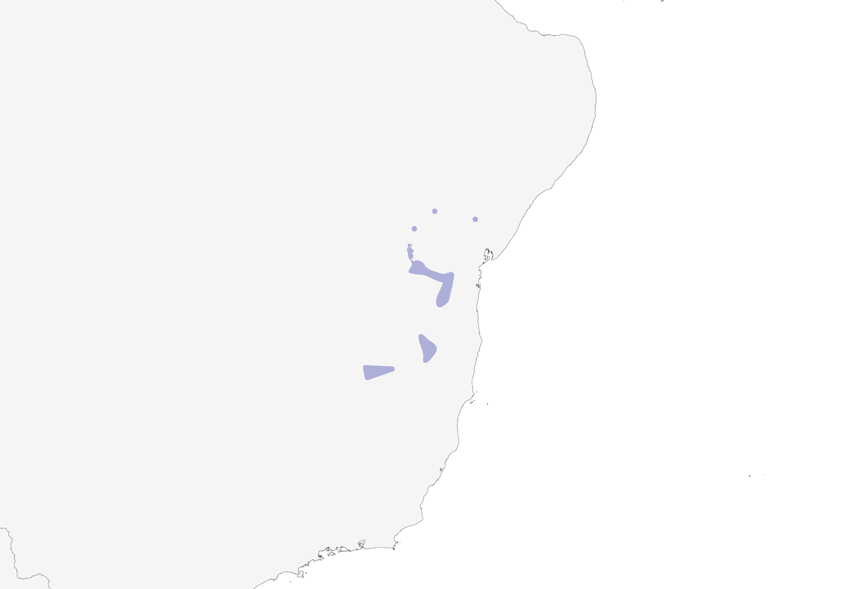 Hormiguerito piquifino, Distribución 1