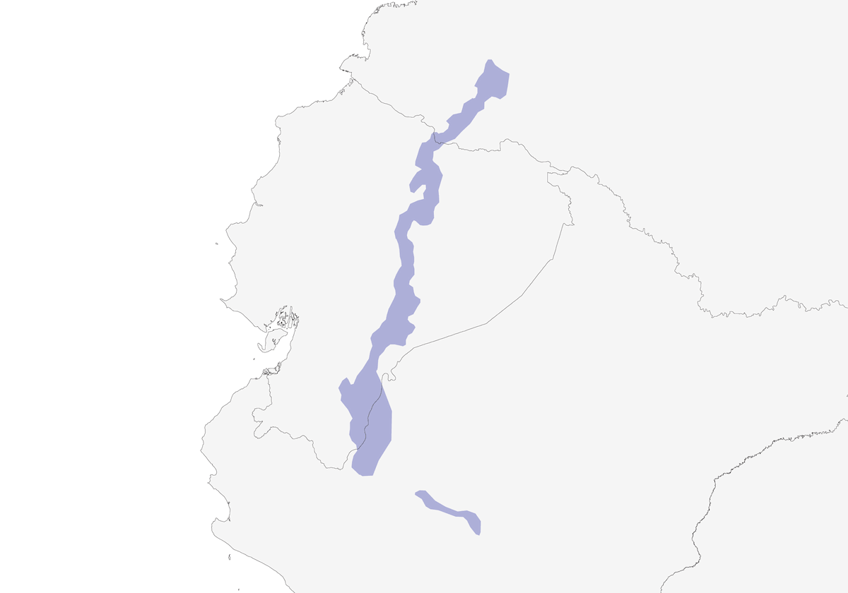 Ermitaño del Napo, Distribución 1