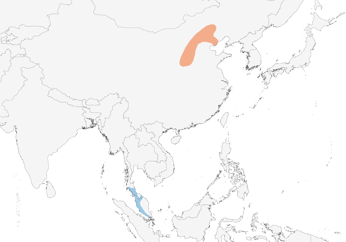Green-backed Flycatcher, Distribution 1