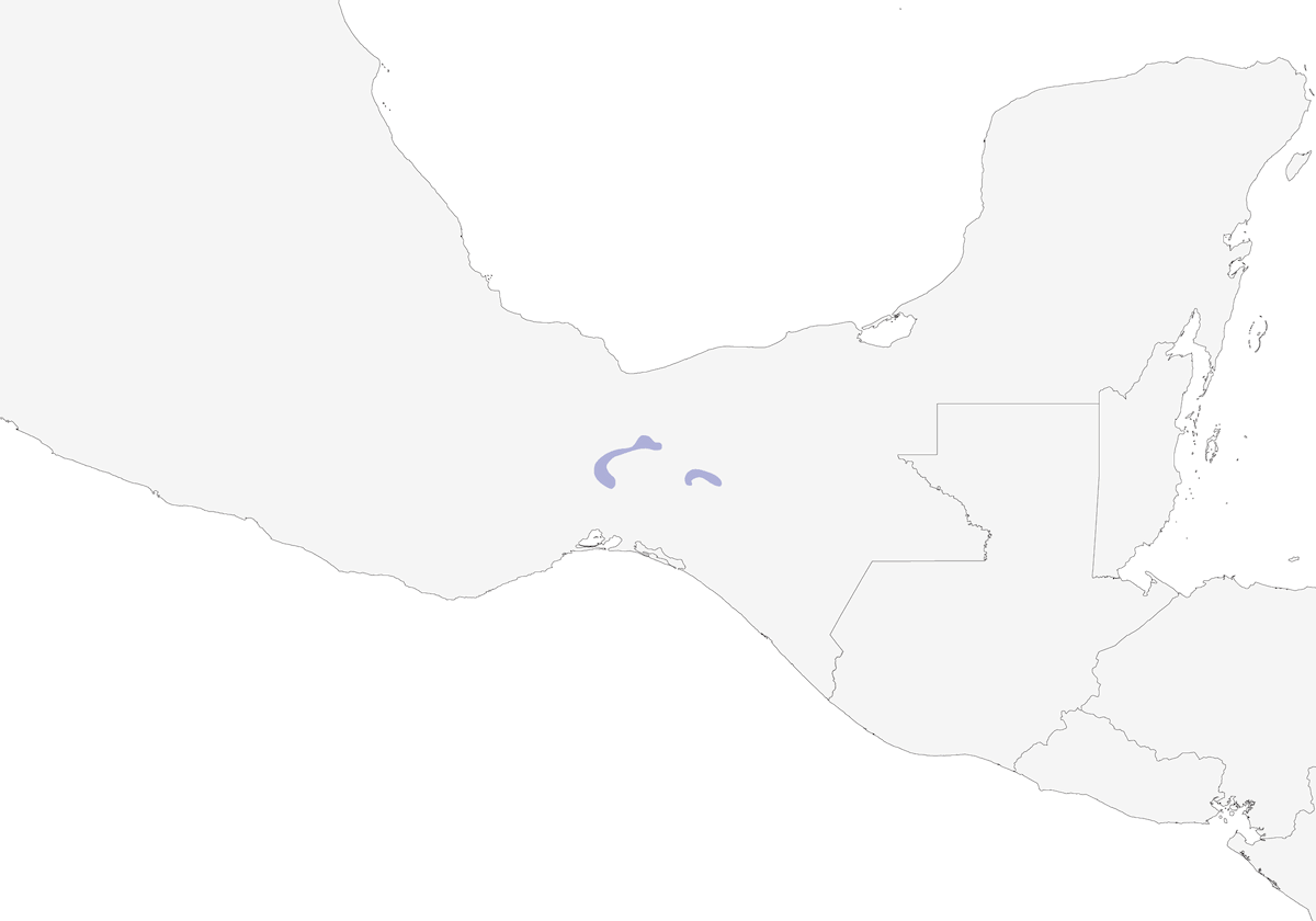 Troglodyte de Nava, Distribution 1