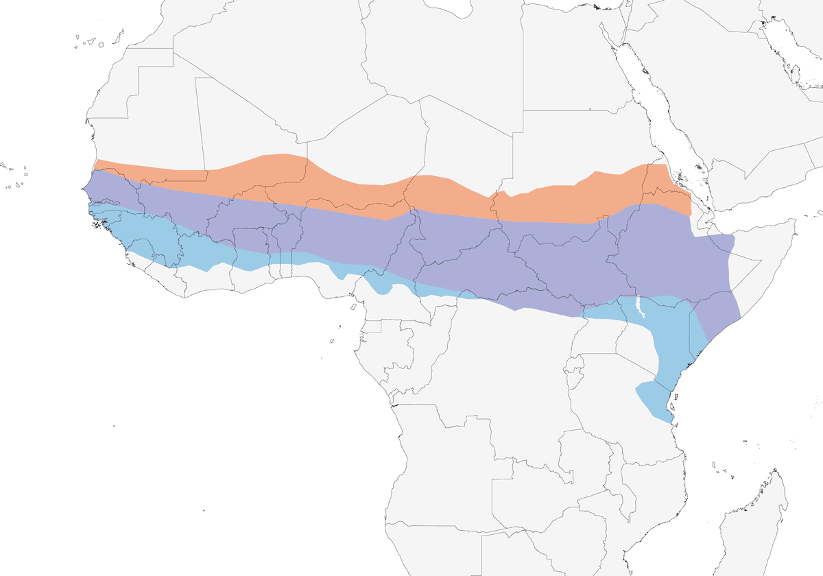 Abejaruco carmín septentrional, Distribución 1