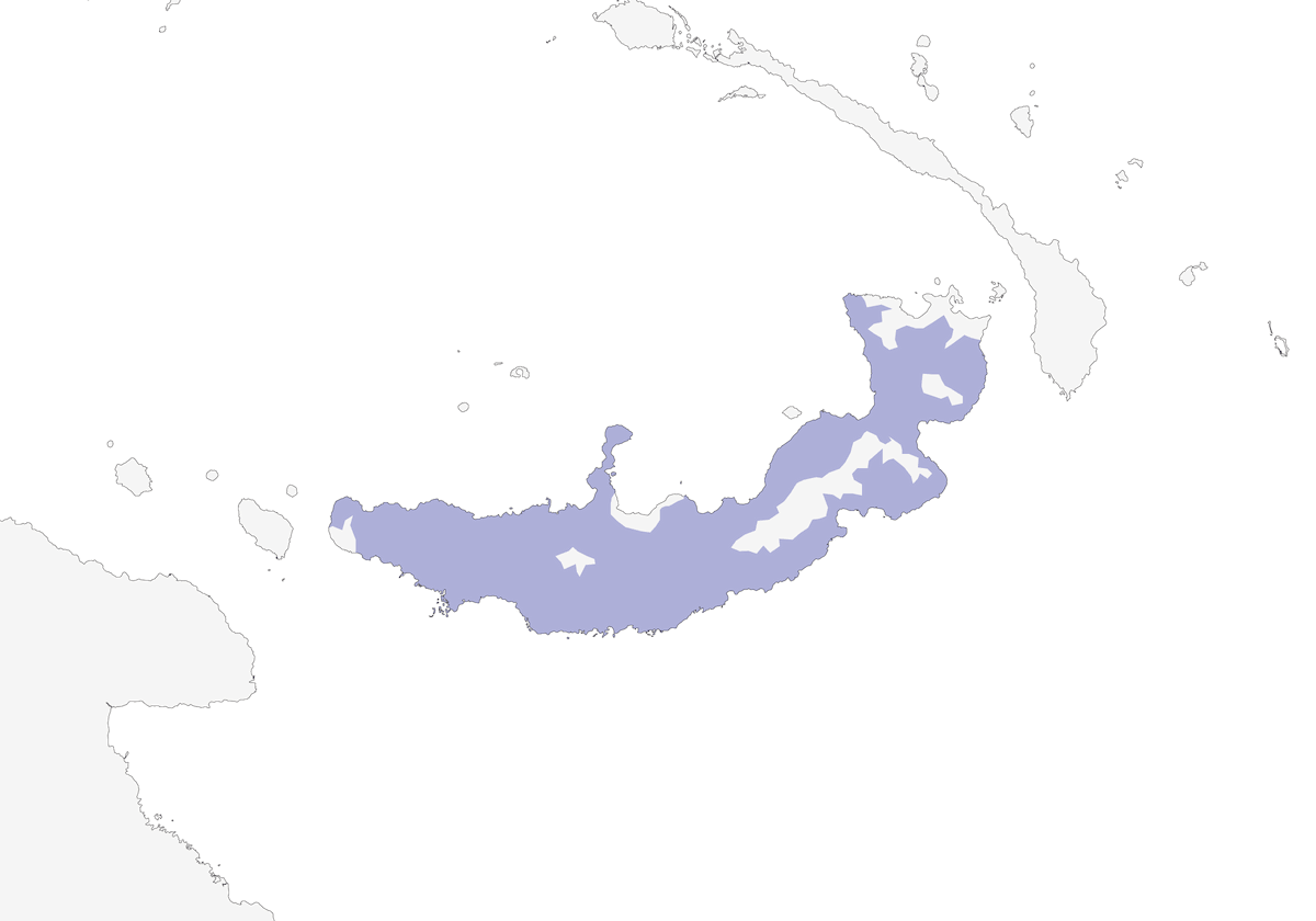 Martín Pescador de Nueva Bretaña, Distribución 1