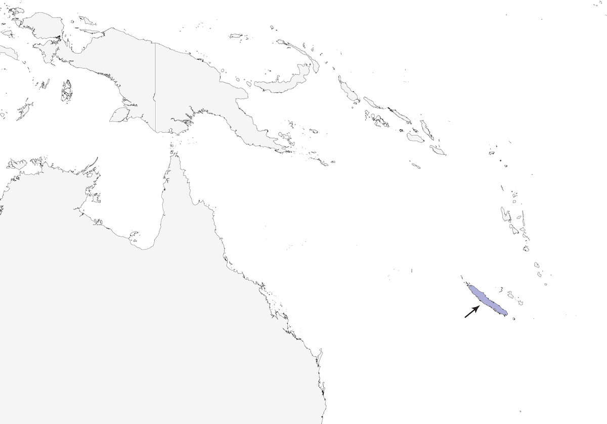 Azor de Nueva Caledonia, Distribución 1