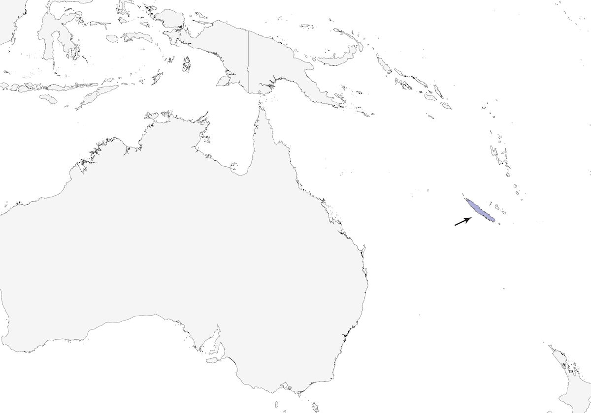 New Caledonian Grassbird, 分布 1