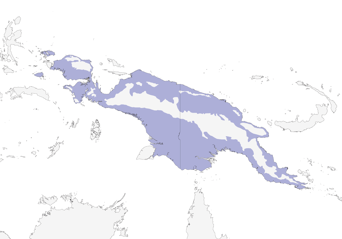 Papuan Babbler, Distribution 1
