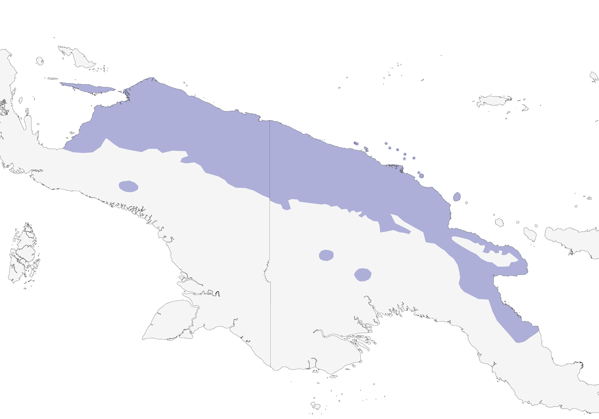 New Guinea Megapode, Distribution 1