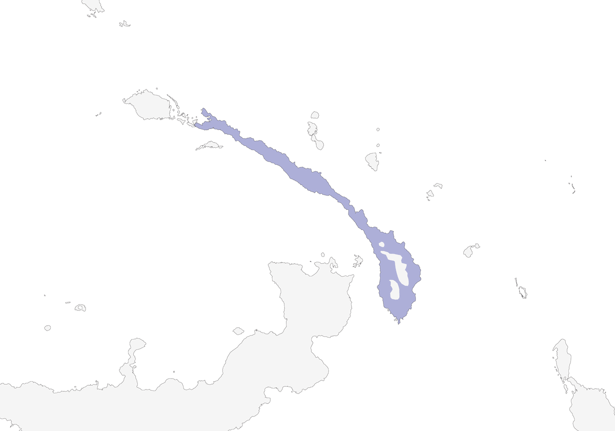 Capucin de Nouvelle-Irlande, Distribution 1
