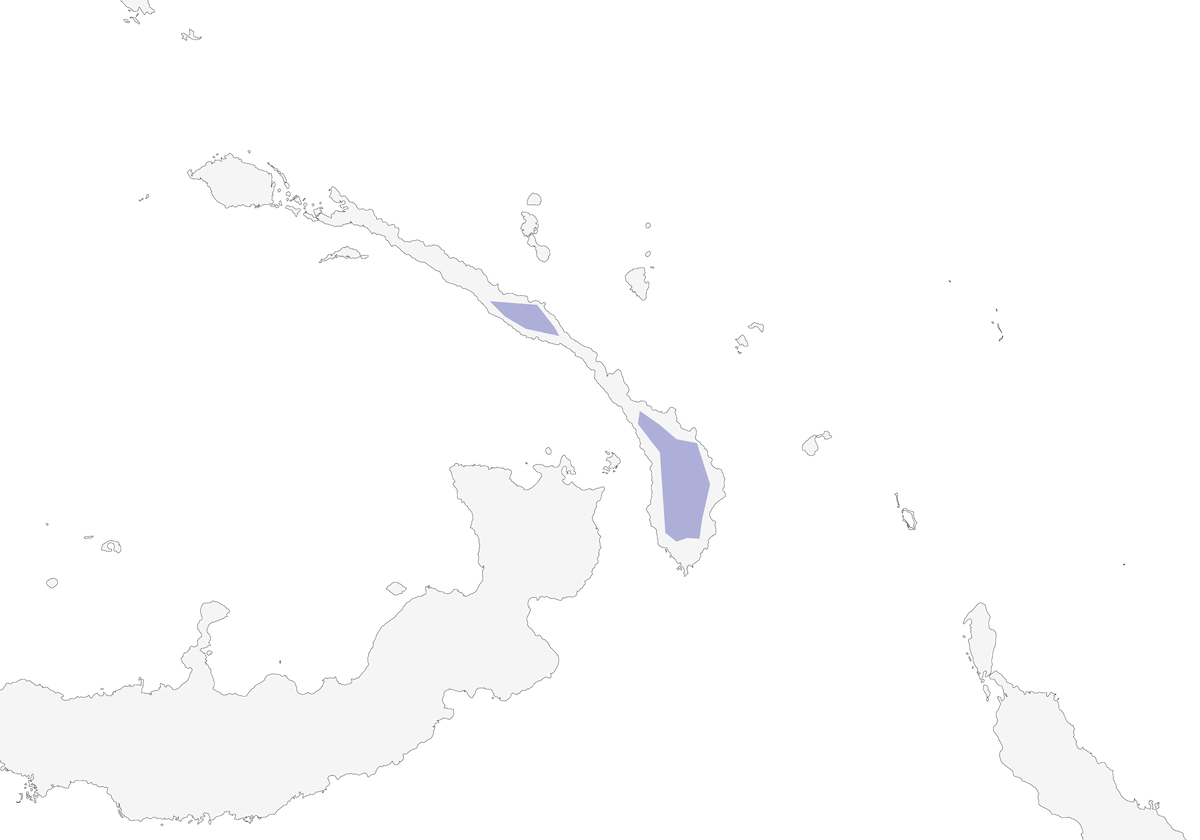 New Ireland Myzomela, 分布 1