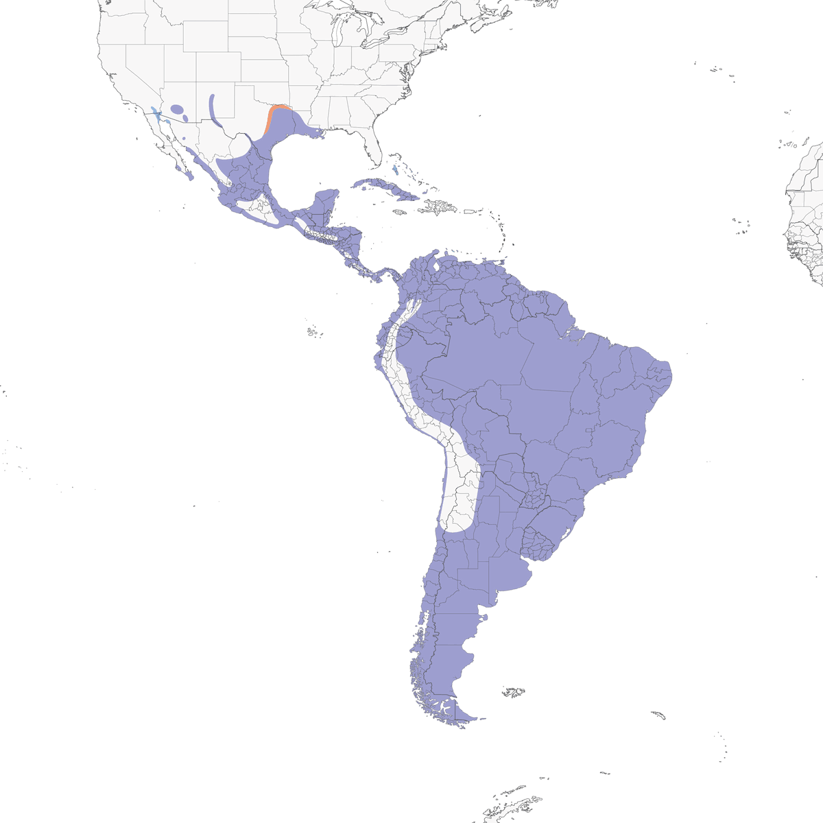 Cormorano neotropicale, Distribuzione 1