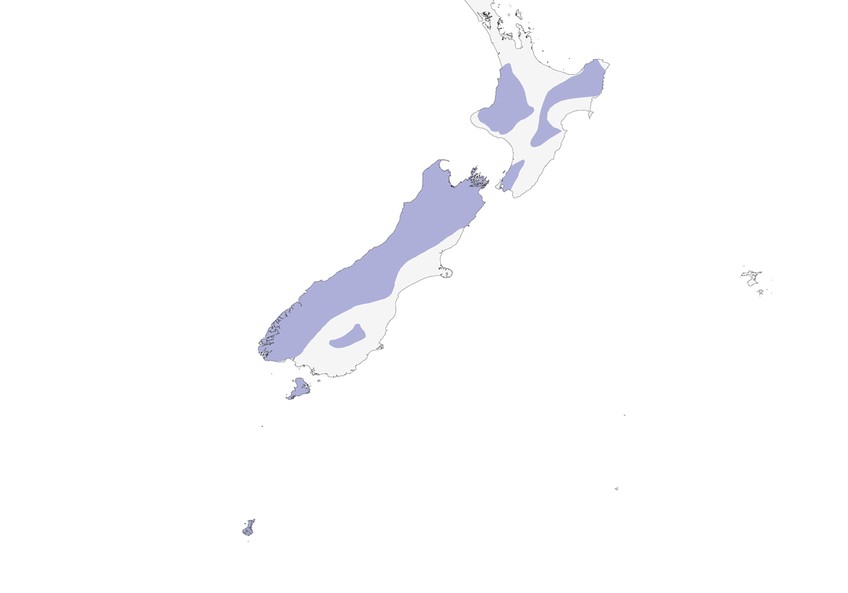 Falco della Nuova Zelanda, Distribuzione 1