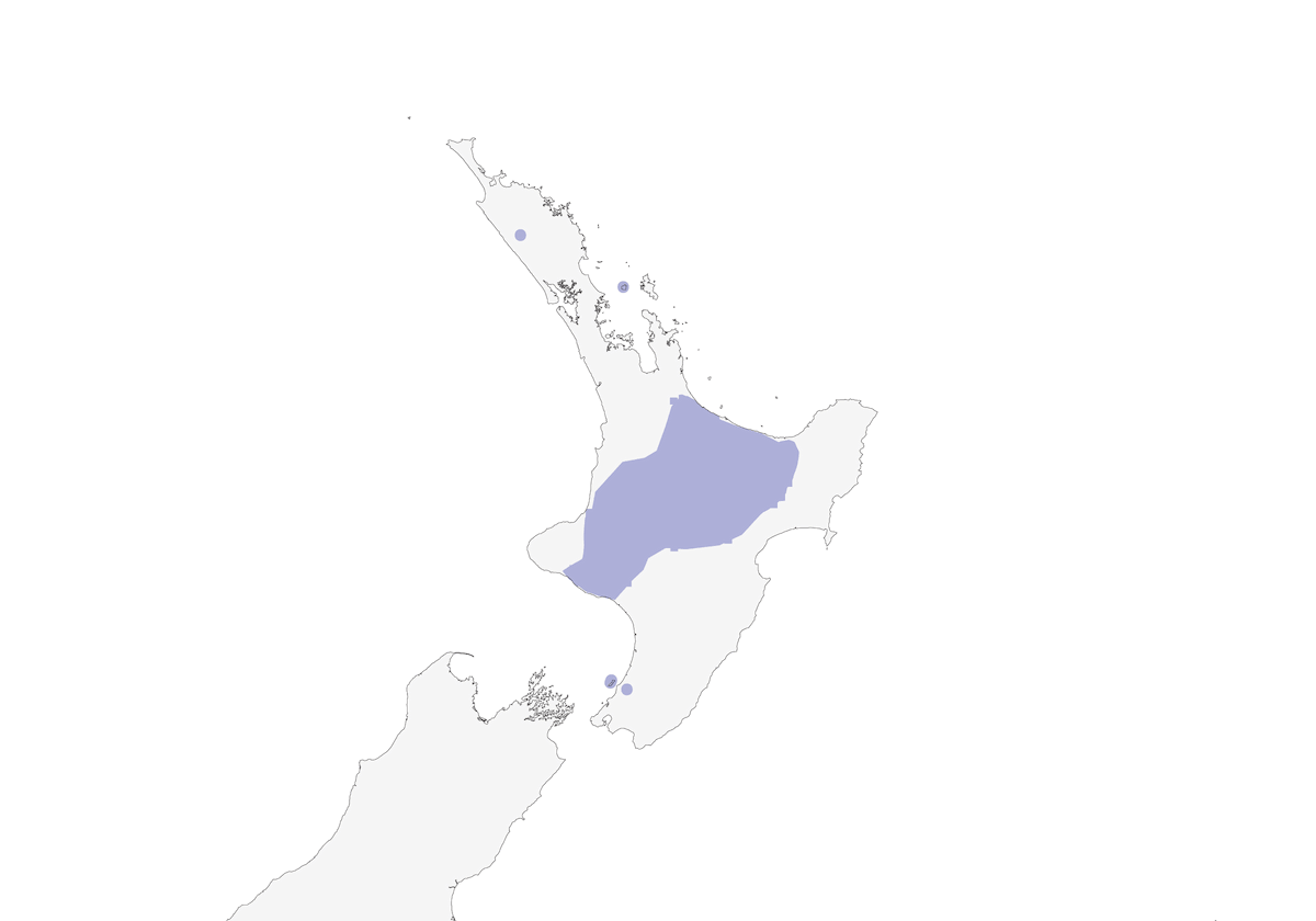 Petirrojo de la Isla Norte, Distribución 1