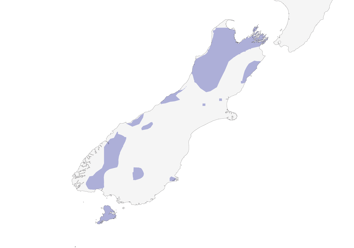 Südinsel-Maorirobin, Verbreitung 1